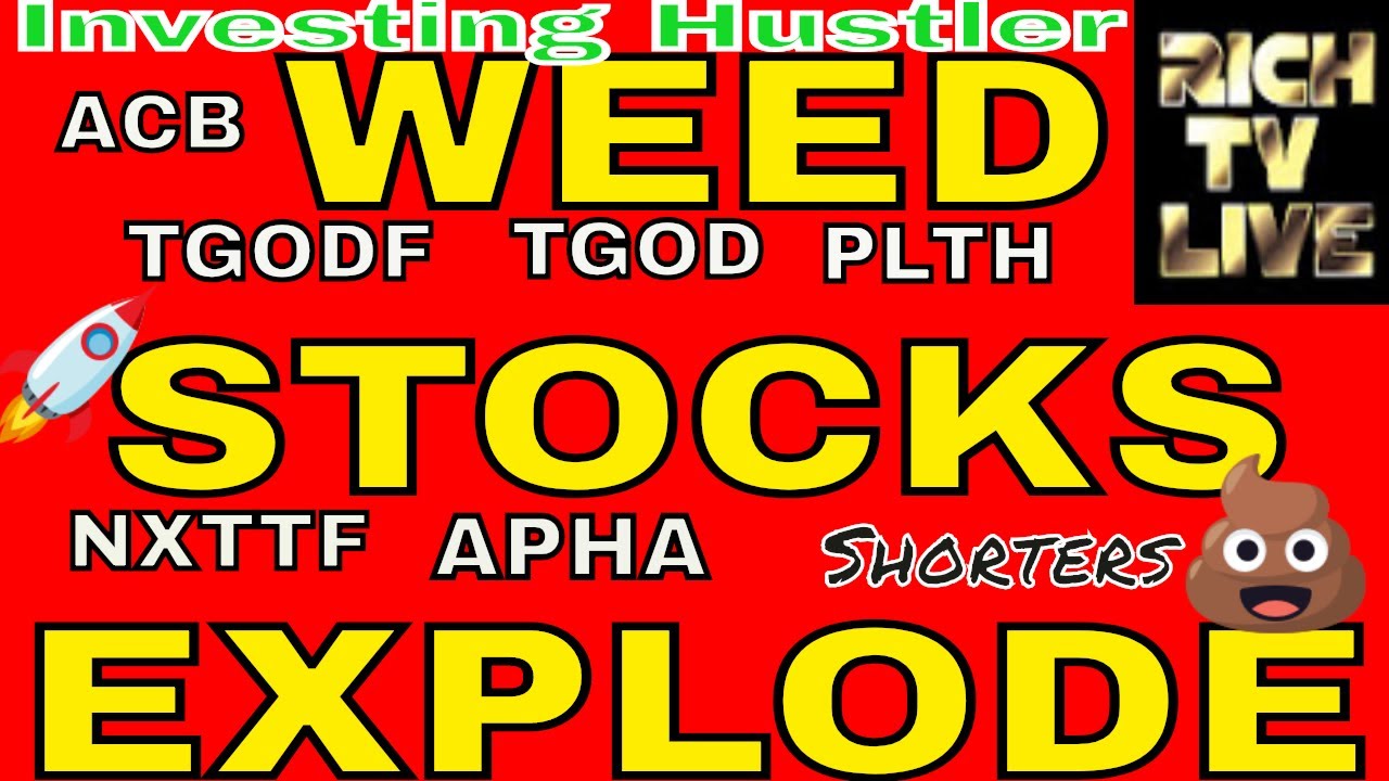 Weed Stocks EXPLODE 🚀 - RICH TV LIVE 💯 - Investing Hustler 🔥