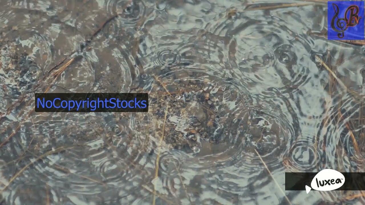 Tuff Data By Vans in Japan   |  NCS | NoCopyrightStocks