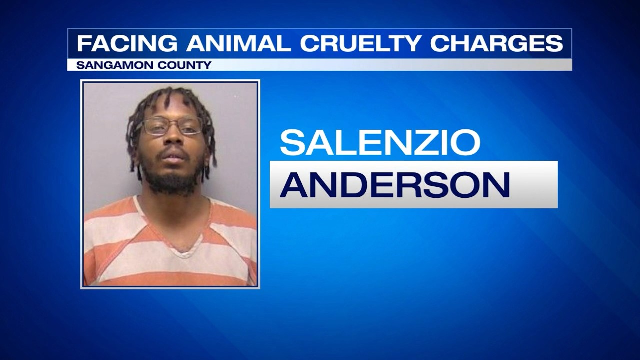 Salenzio Anderson in Custody: Indicted on Aggravated Animal Cruelty Charges