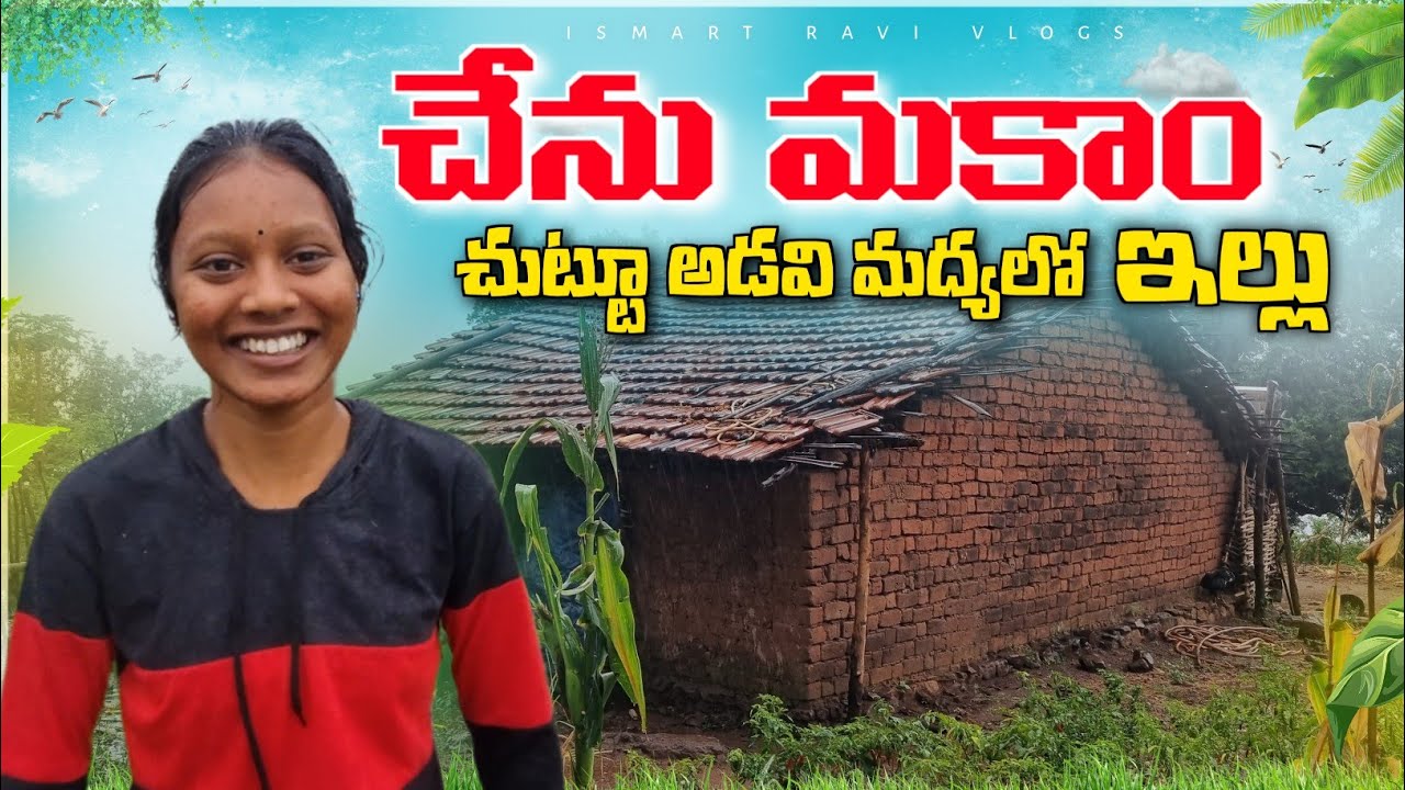 Tribal Family in dense forest || Tiny home tribes on hills | అడవిలో ఇల్లు ఇదే