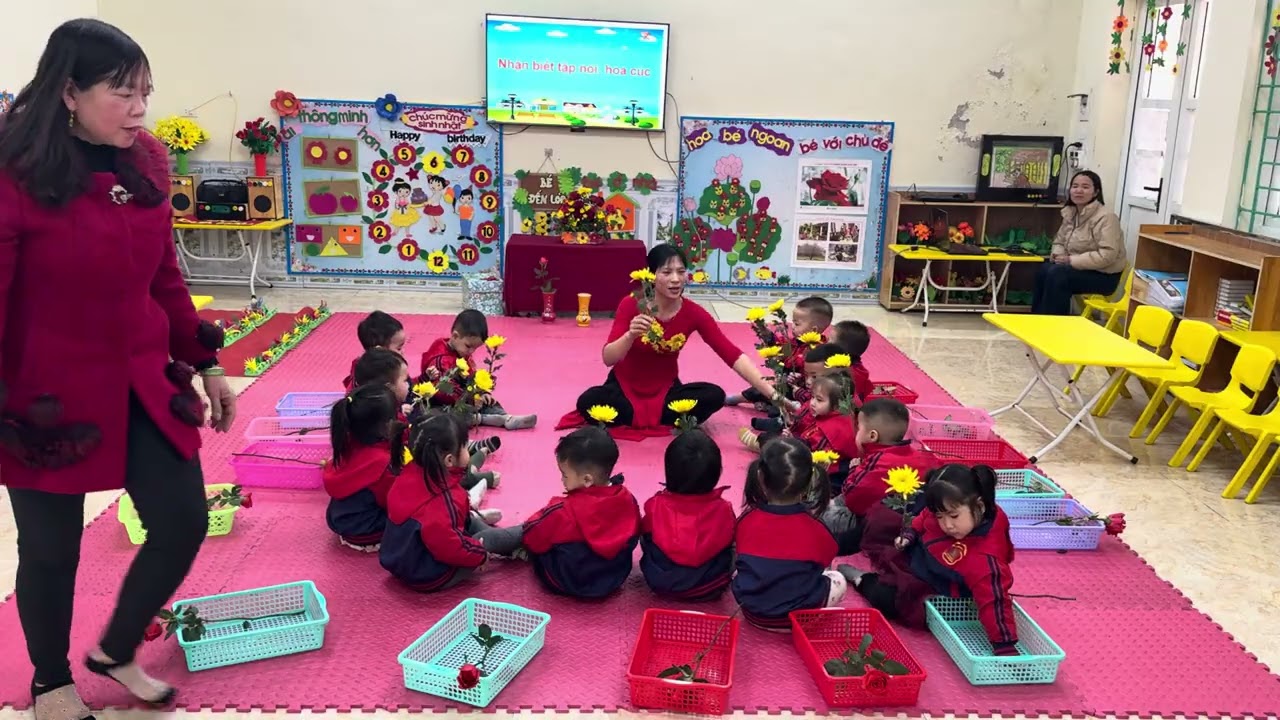 Nhận biết tập nói: Hoa hồng, hoa cúc (Nhà trẻ 24-36 tháng)