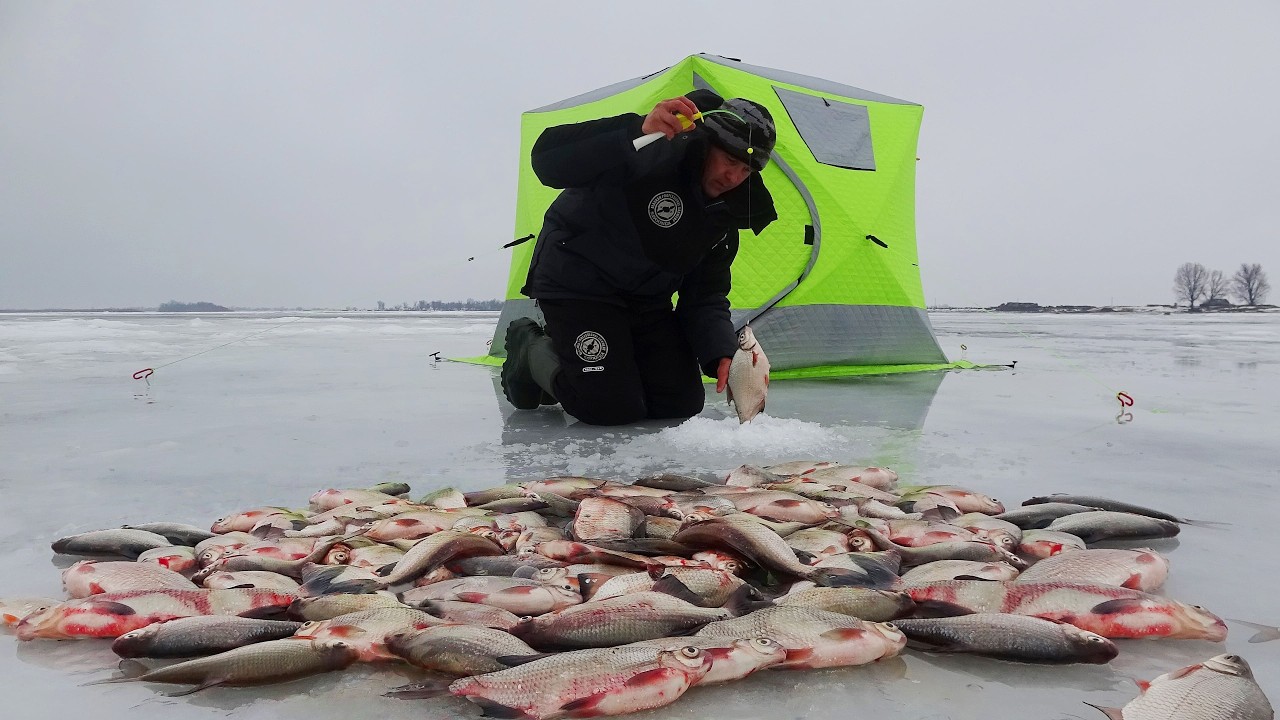 БОРА - МОНСТР, ЧЕРПАЮ НА ВСЕХ КРЮЧКАХ. КРУПНАЯ ГУСТЕРА НОЧЬЮ. Рыбалка с ночёвкой в палатке на льду.