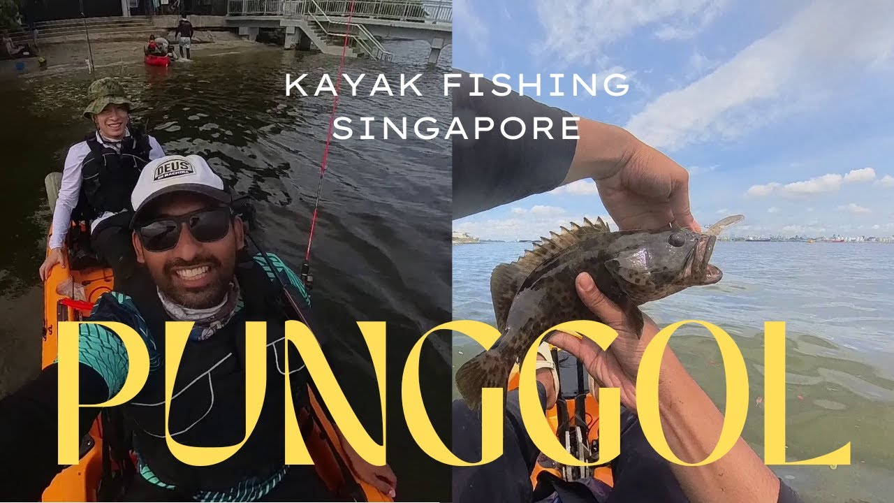 GROUPERS Punggol Jetty Fishing Frenzy | Kayak Fishing Singapore