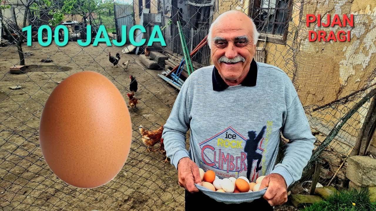SAKUPLJAMO JAJA! DRAGIJEVA FARMA! *pijan* *baba oduševljena*