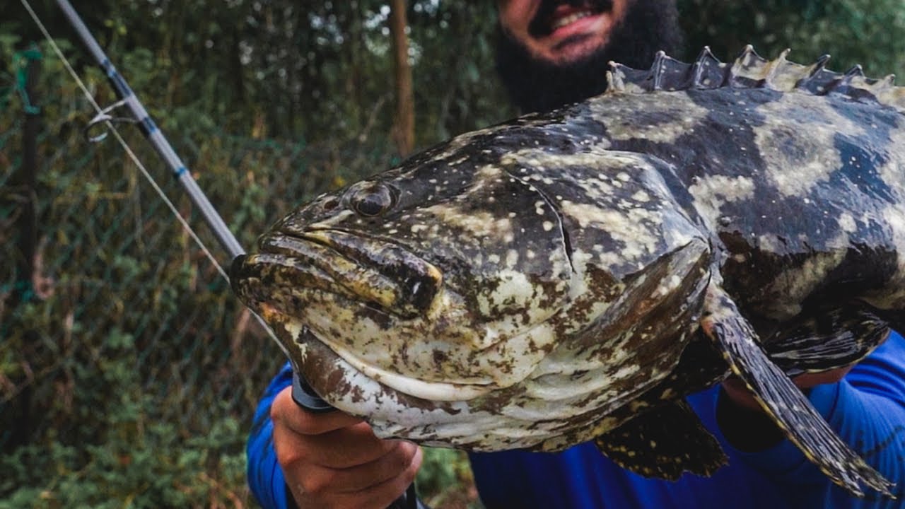 Рыболовная деревня Дамай | Озеро GT | Поймал и отпустил | Малайзия 2024