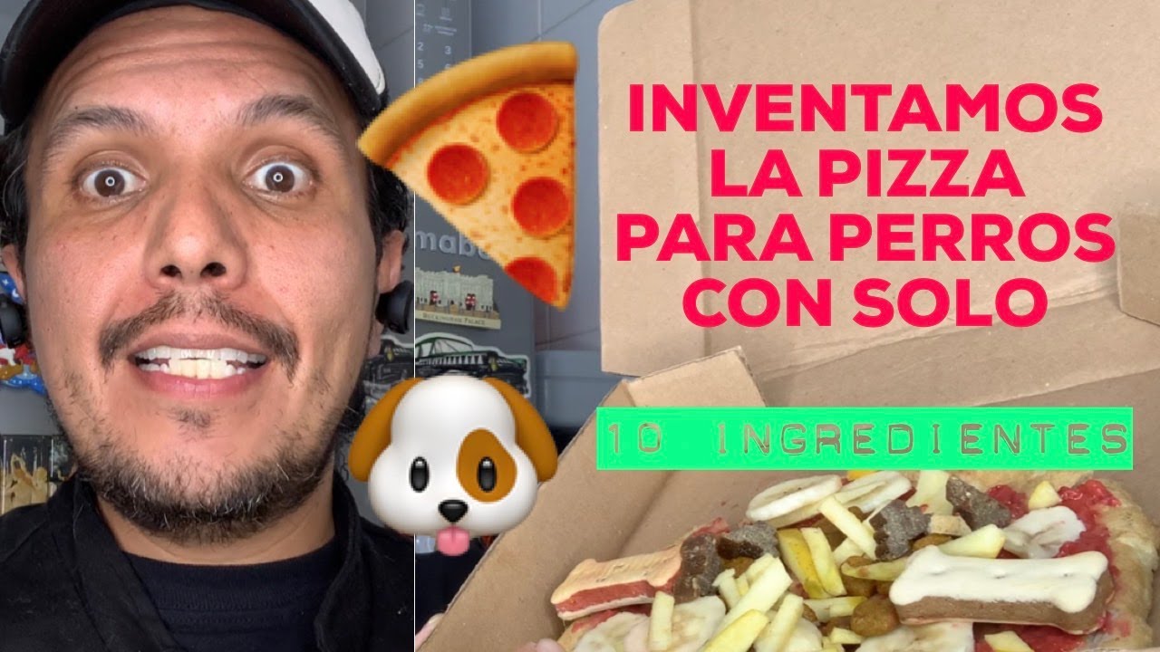 🍕🐶 ¿Cómo hacer PIZZA PARA PERROS? 🤔 te damos la receta 🤤  prepárala en 20 minutos o es gratis 😂