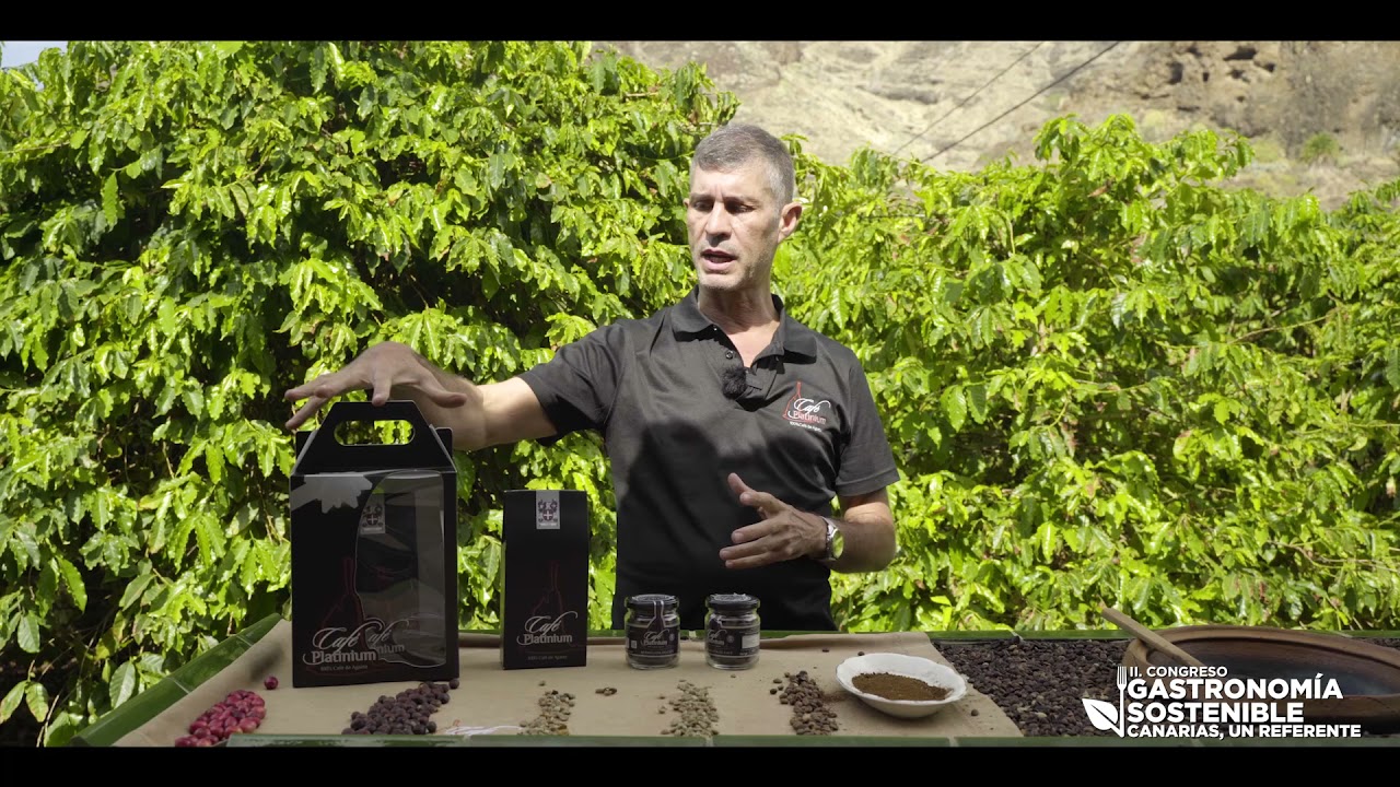 Santiago Lugo (Café Platinium) | Café sostenible de Canarias