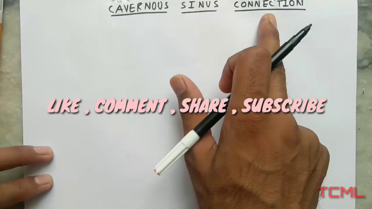Cavernous Sinus | Part 1 | Connection | The Charsi of Medical Literature