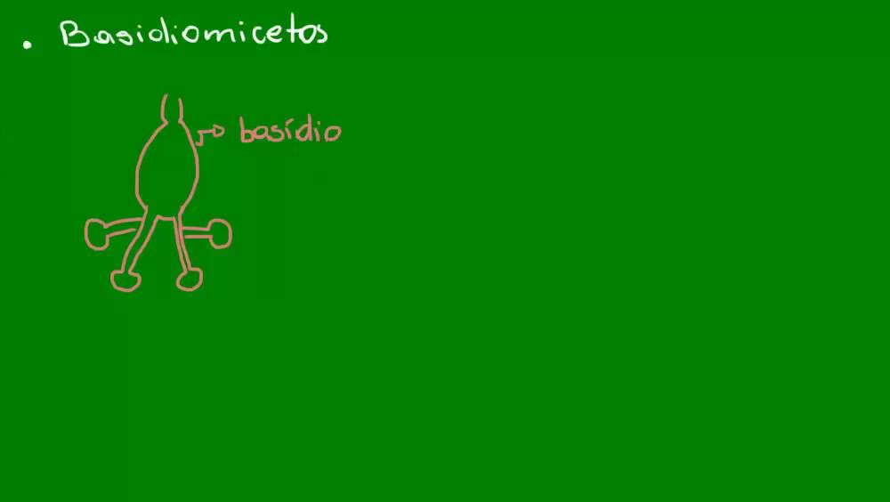 Ascomicetos, basidiomicetos e deuteromicetos - Diversidade dos Seres Vivos - Biologia