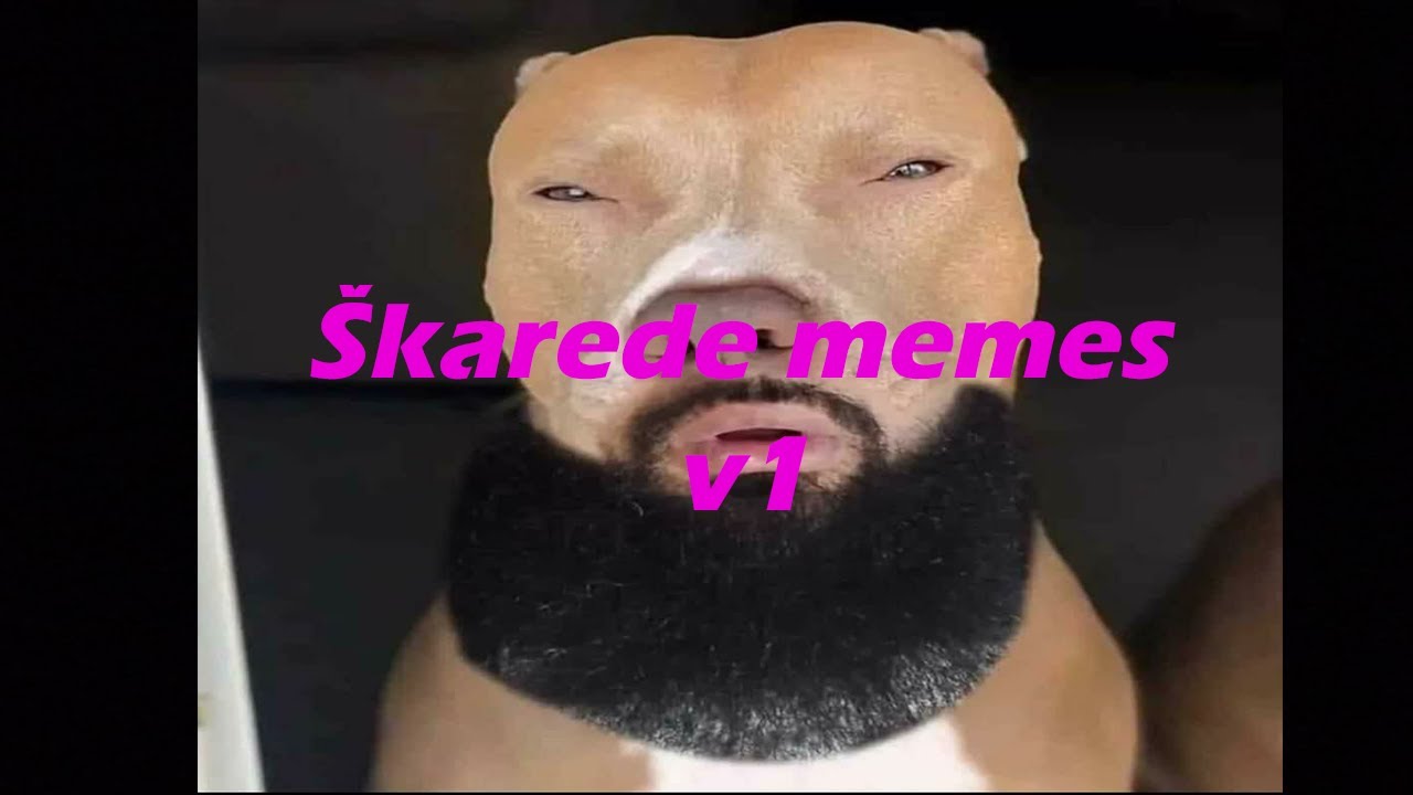 &Scaron;karede memes