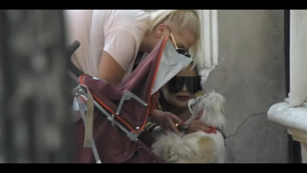 Kasia i Żyleta chciały uratować dziecko, okazało się, że to pies [Królowe życia]