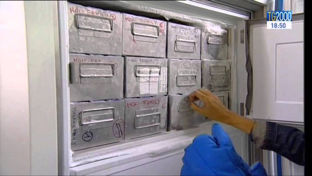 La sentenza di un tribunale che ha detto s&igrave; all'impianto di embrioni congelati 19 anni fa