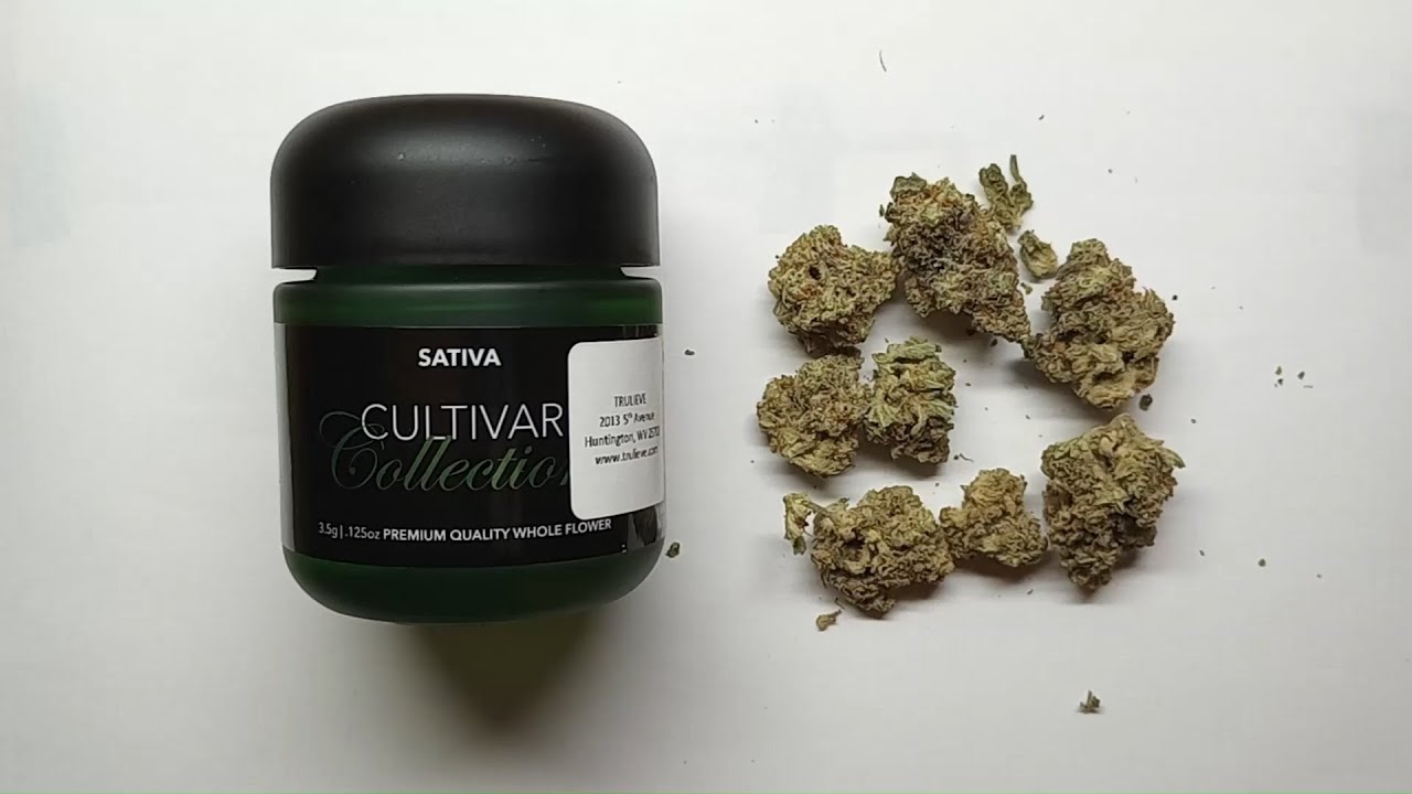 Cultivar Collection Frozen Lemons Flower Review