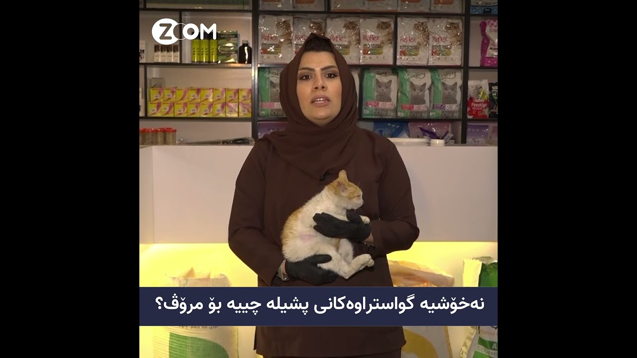 نەخۆشییەکانی پشیلە و سەگ@پشیلە@سەگ@دکتۆر عباس@دکتۆرە هێرۆ