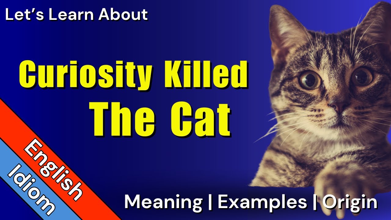 Curiosity Killed the Cat Meaning | Idioms in English