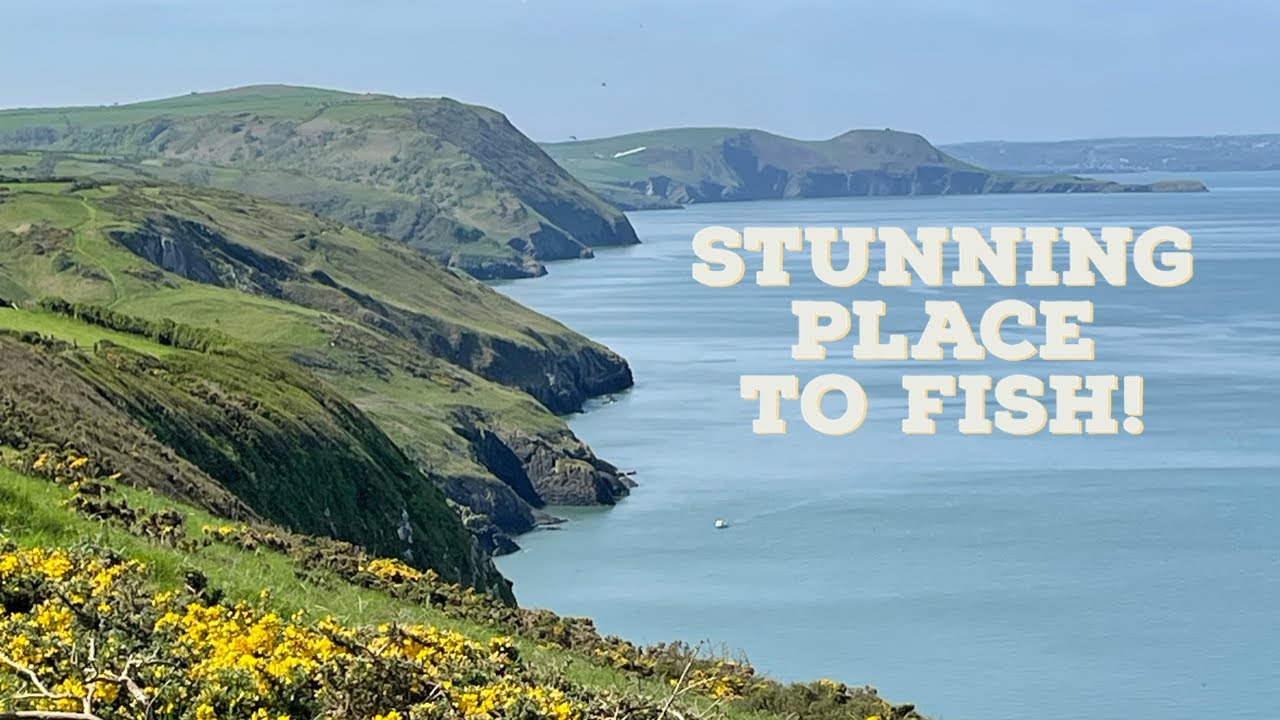 Bass and Pollock fall to the savage gear seeker