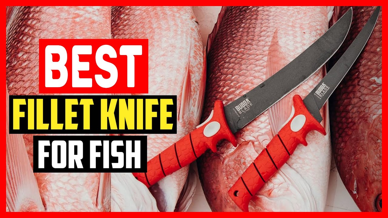 ✅Top 5 Best Fillet Knife for Fish in 2025