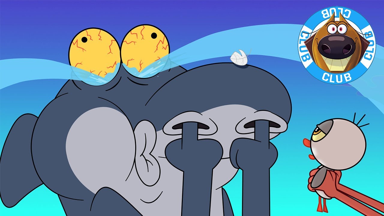 Sharko, King of Jokes | Zig & Sharko's Club | Cartoon Collection | New Episodes in HD