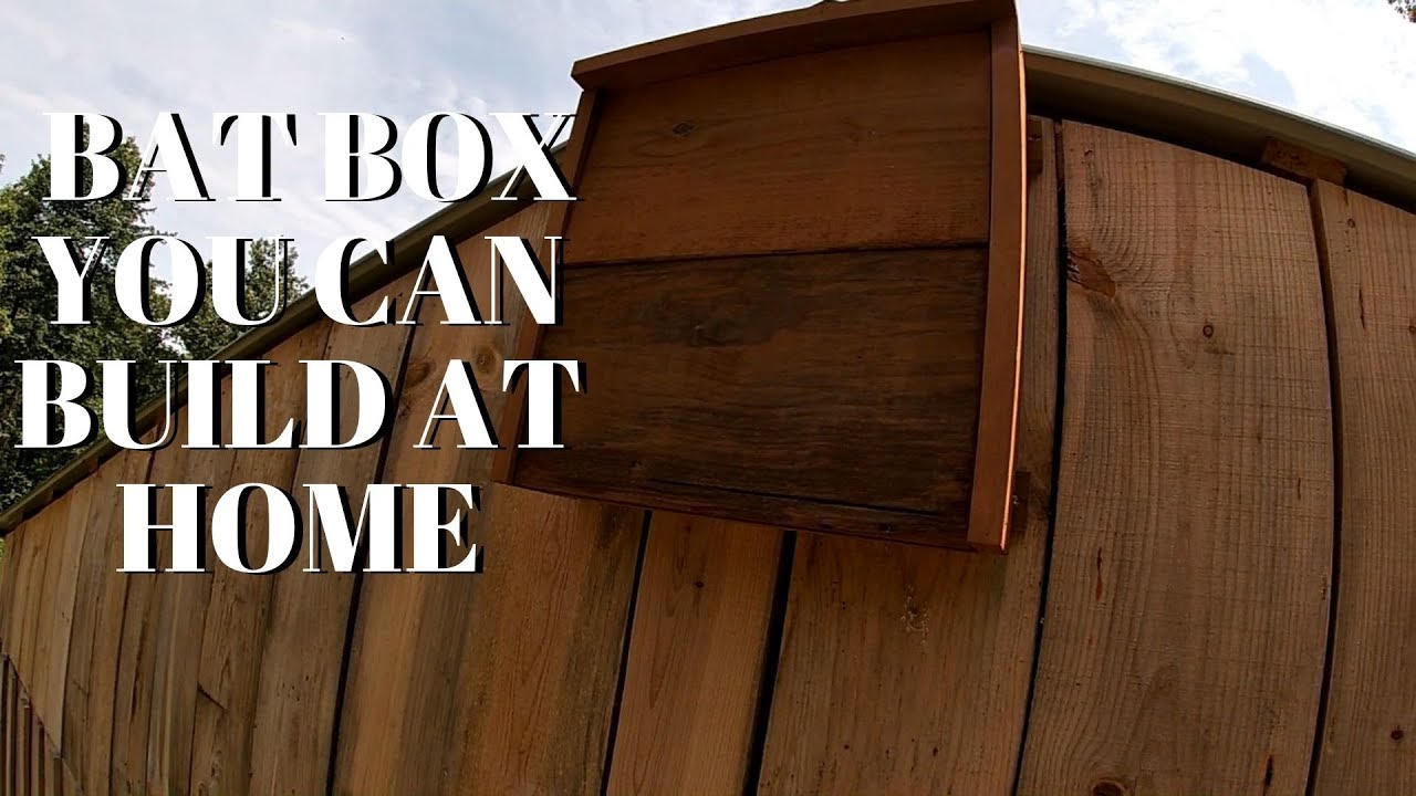 HOW TO BUILD A BAT BOX. THE BEST ORGANIC PEST CONTROL FOR A GARDEN!!