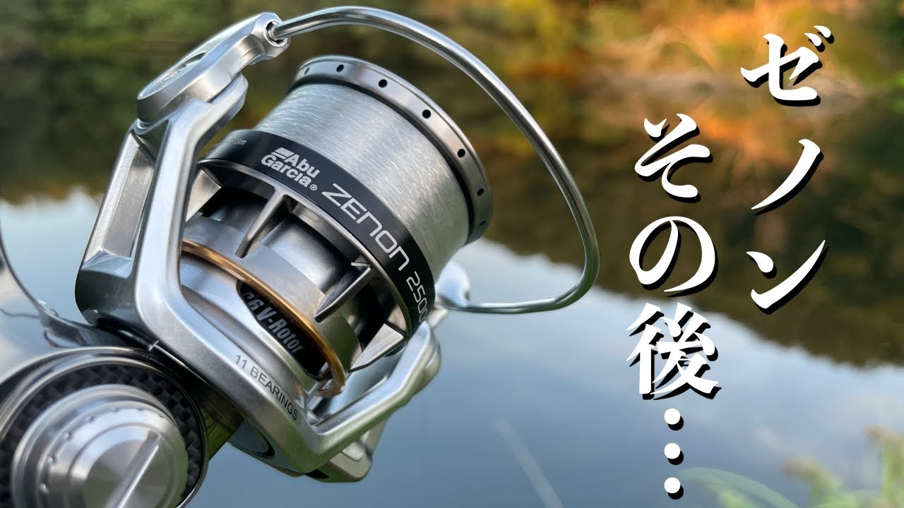 ゼノンのその後、、、使い続けたら・・・