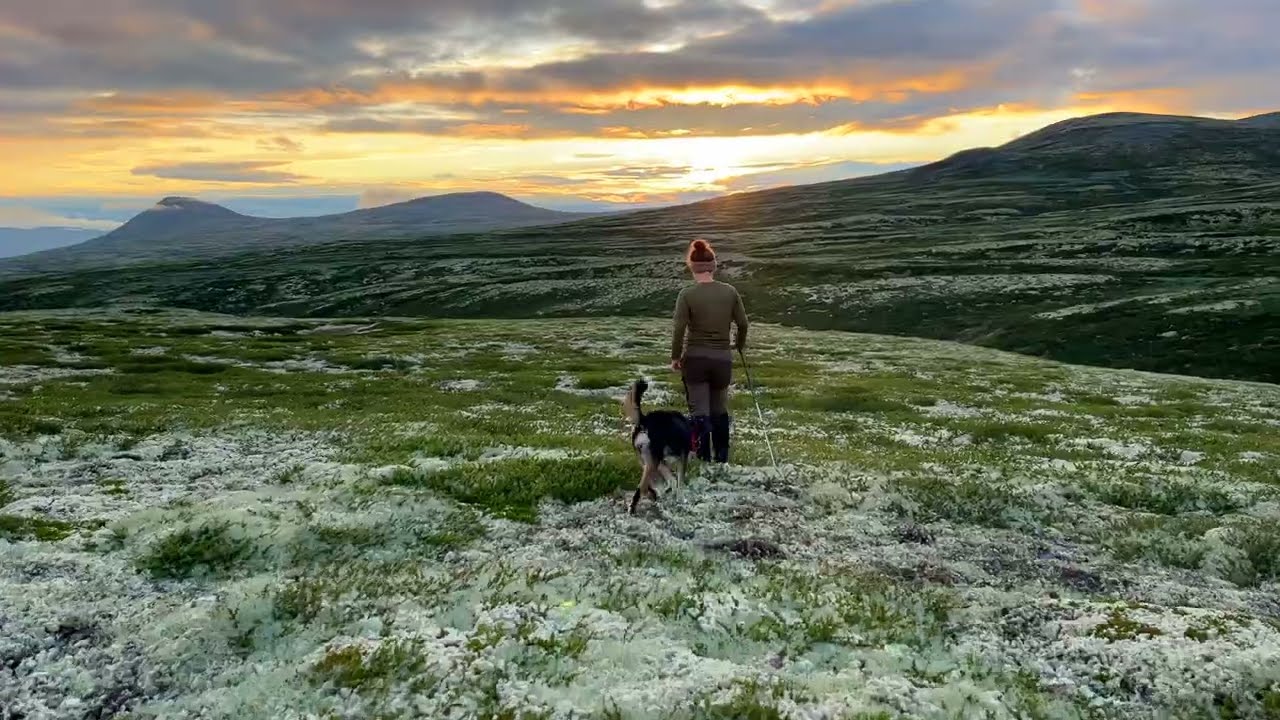 Hiking: Rondane National Park (July 2023)