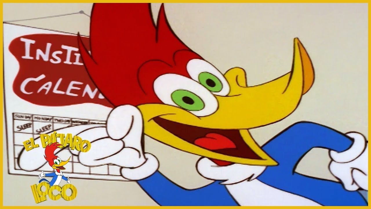 El Pájaro Loco en Español | Que Temperamento | Dibujos Animados en Español