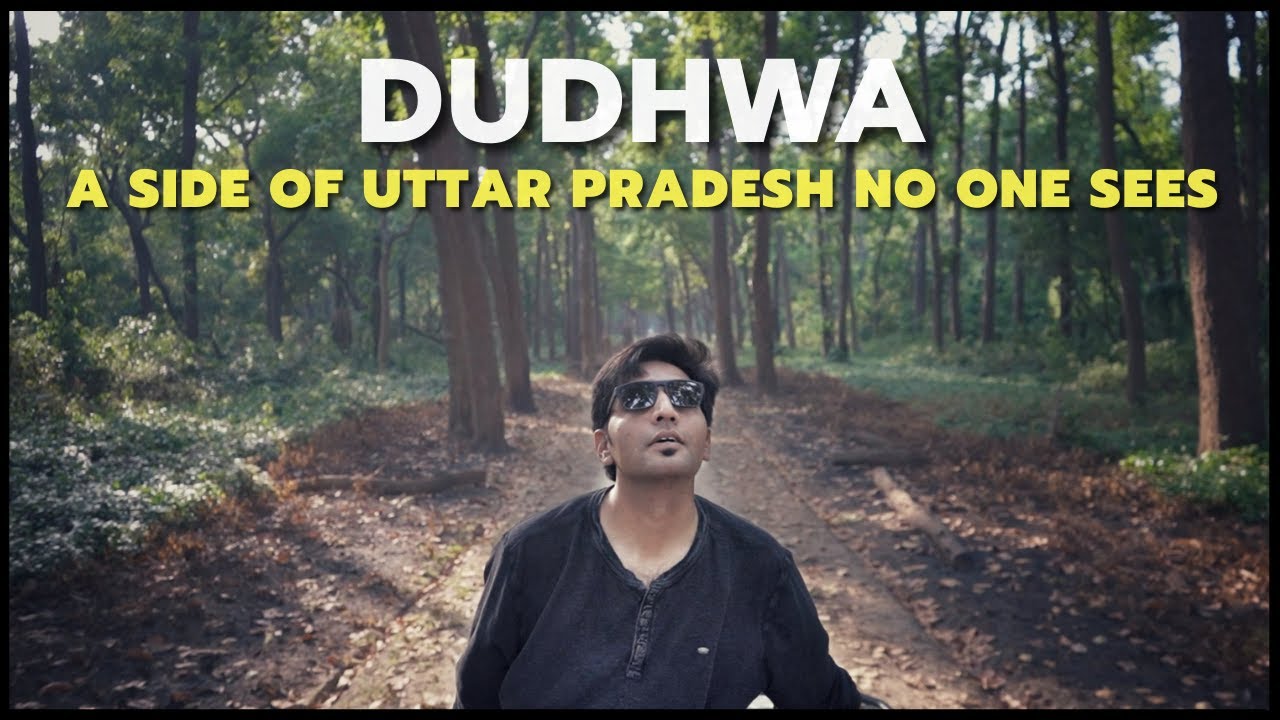 DUDHWA NATIONAL PARK | Why Visit This Unheard-Of National Park In Uttar Pradesh | UP Tourism