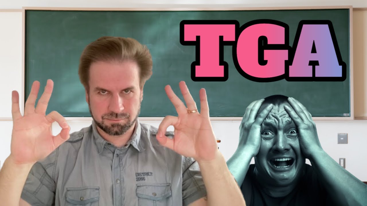 Textgebundener Aufsatz (TGA): WAS muss da rein?