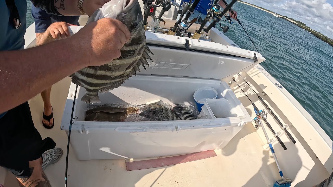 Рыбалка на камбалу и морского леща в Оушен-Сити, штат Мэриленд | On the Run Charters
