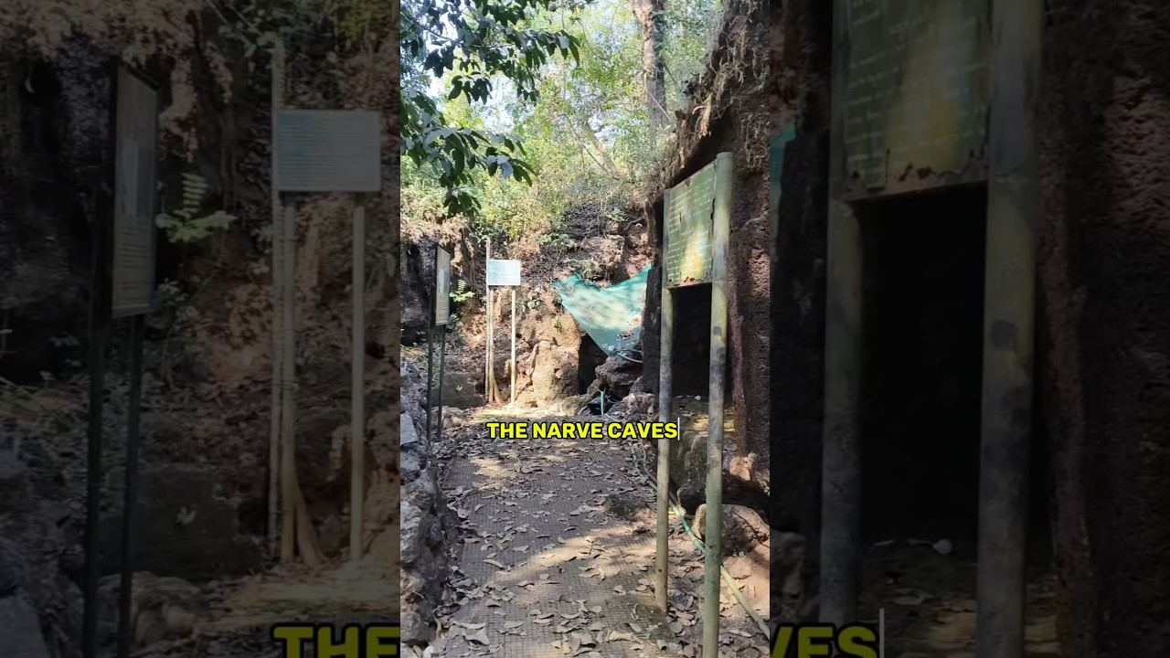 Caves of Narve in Bicholim, Goa #goa #konkani #cave
