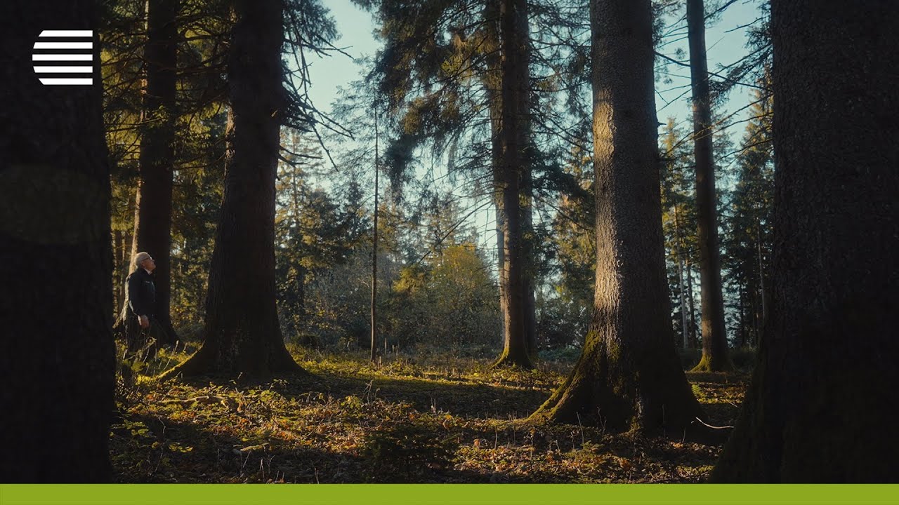 Pfeifer Group – Yritysesittelyvideo (FN)