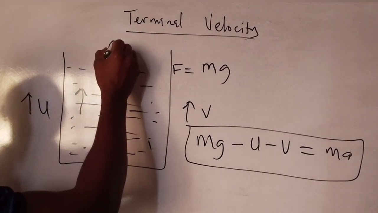 Terminal Velocity | Upthrust | Viscosity