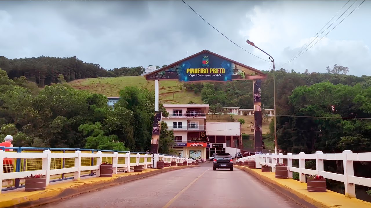 Pinheiro Preto - Santa Catarina
