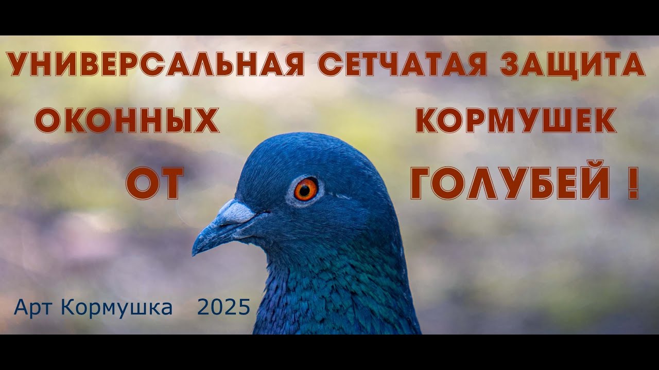 УНИВЕРСАЛЬНАЯ СЕТЧАТАЯ ЗАЩИТА ОКОННЫХ КОРМУШЕК ОТ ГОЛУБЕЙ! Идея и производство - Арт Кормушка.