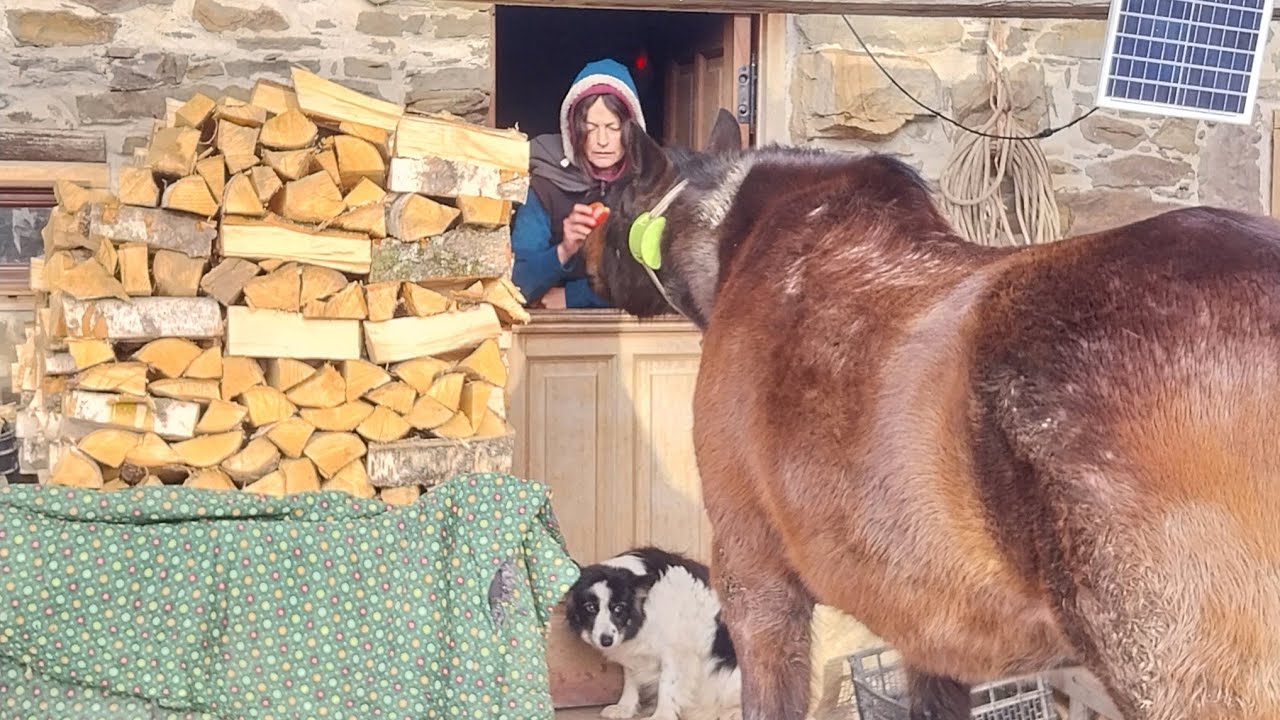 Lucero y sus cosas!! Un caballo que escapa!!!
