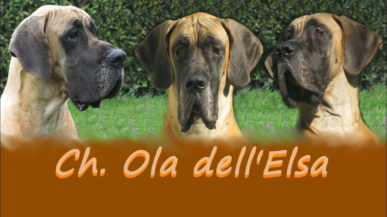 Ch. Ola dell'Elsa