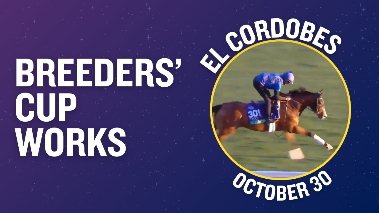 Breeders' Cup Turf Contender EL CORDOBES Gallops on Turf - October 30th