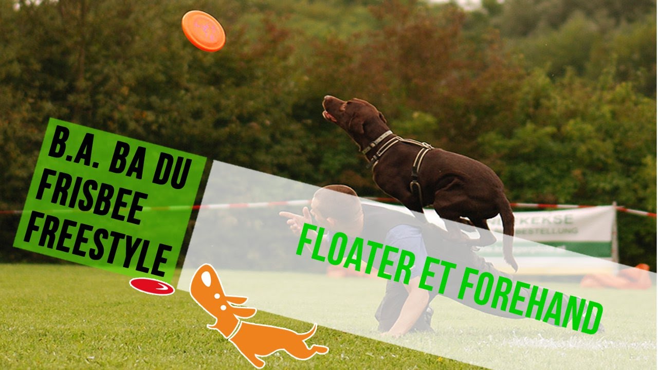 Le B.A.  BA du frisbee - les lancers. Le floater et le forehand