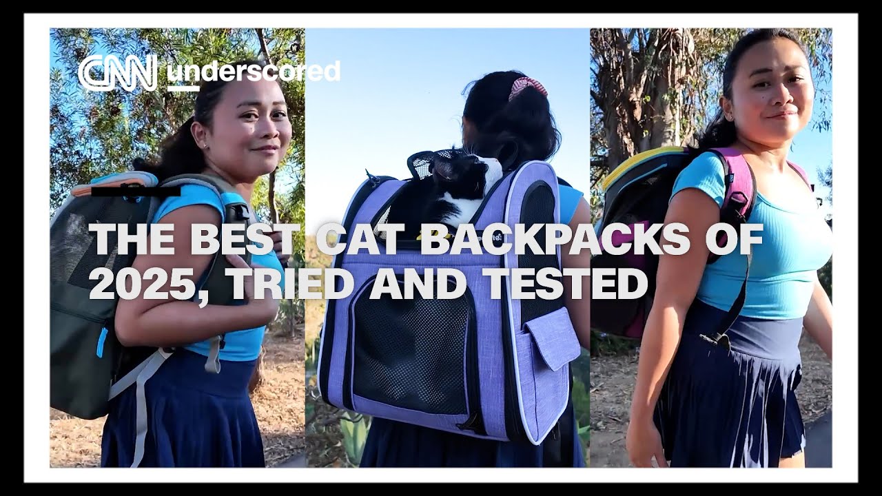 The best cat backpacks of 2025, tried and tested