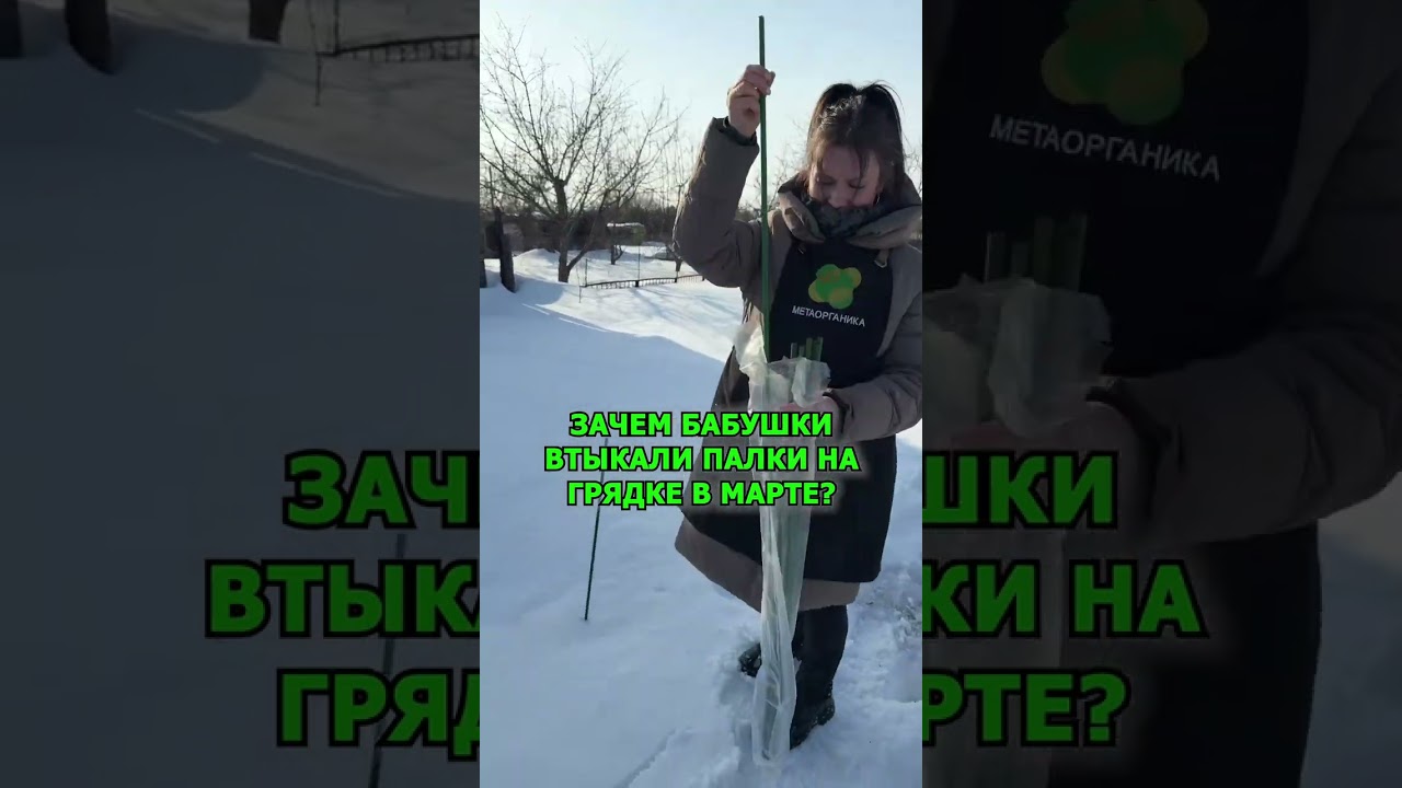 Зачем бабушки втыкали палки на грядке в марте