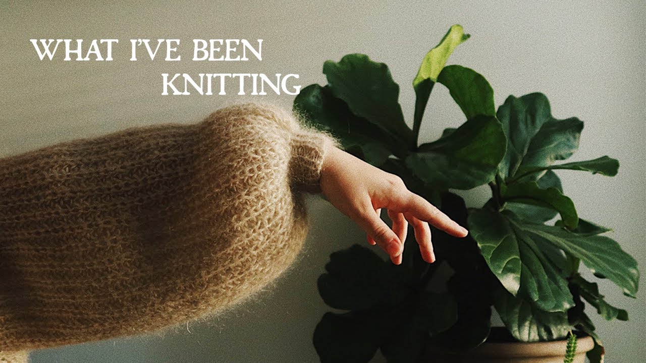 What I've Been Knitting + Some Recent Reads