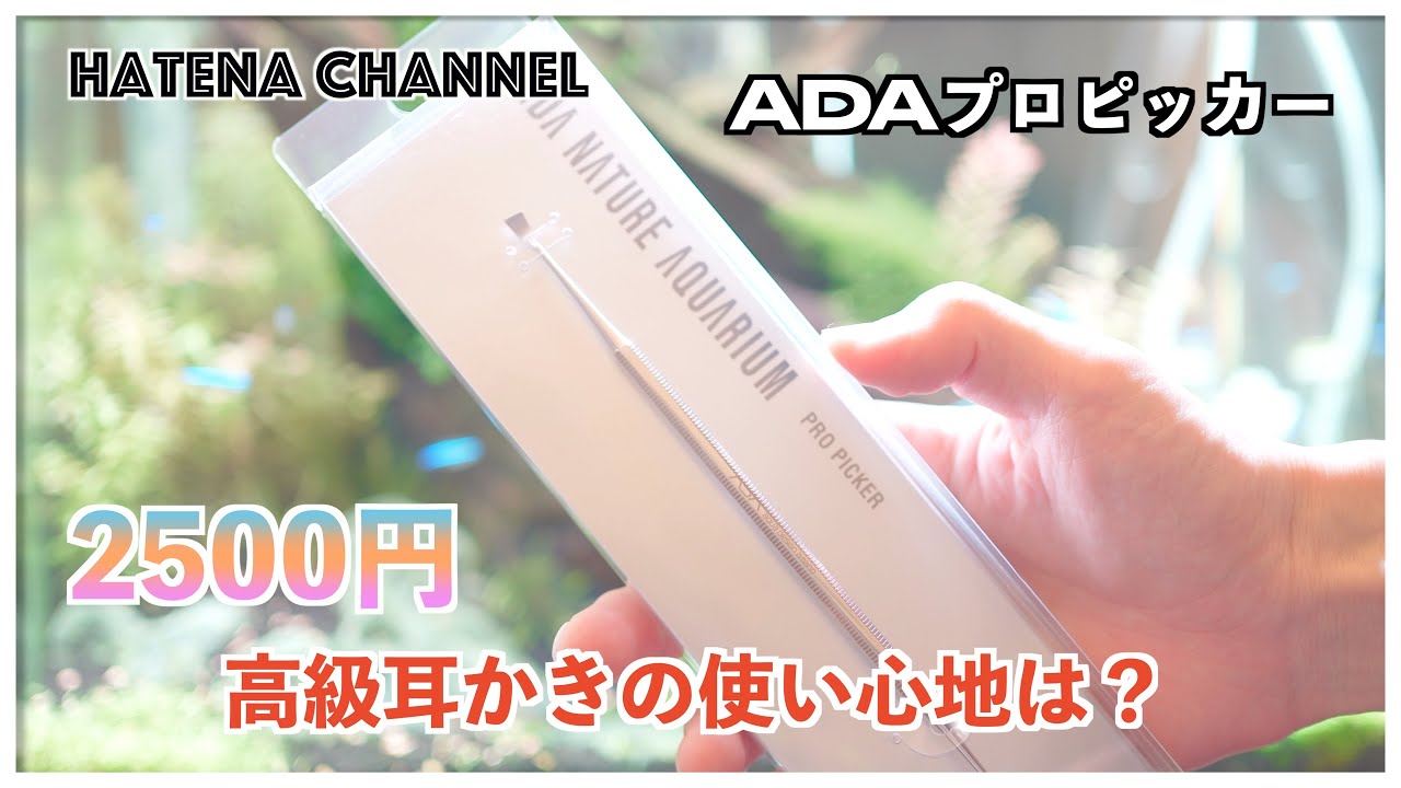 【超高級】ADAのプロピッカーは高級耳かき？使い心地は極上でした