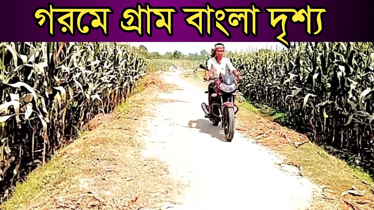 beautiful village scenery | bangladesh village | bangladesh natural video @Gramvideo.