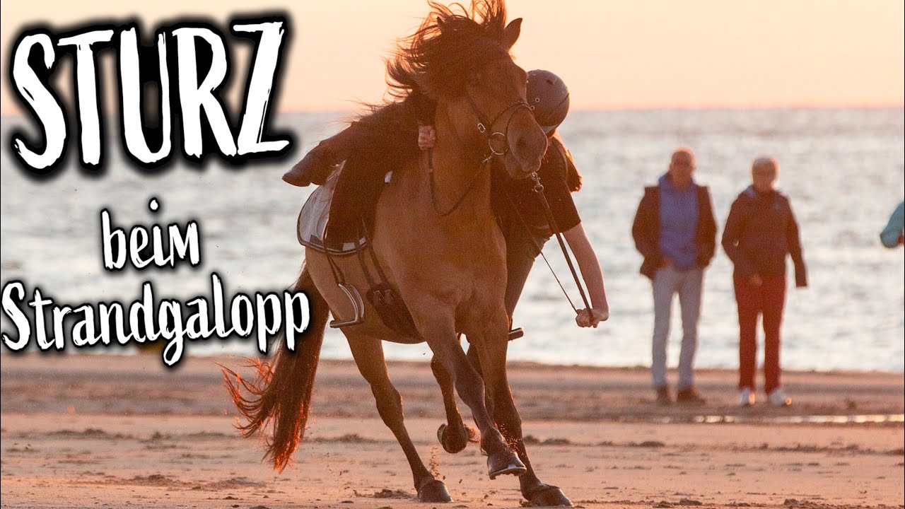 Sturz beim Strandgalopp :(