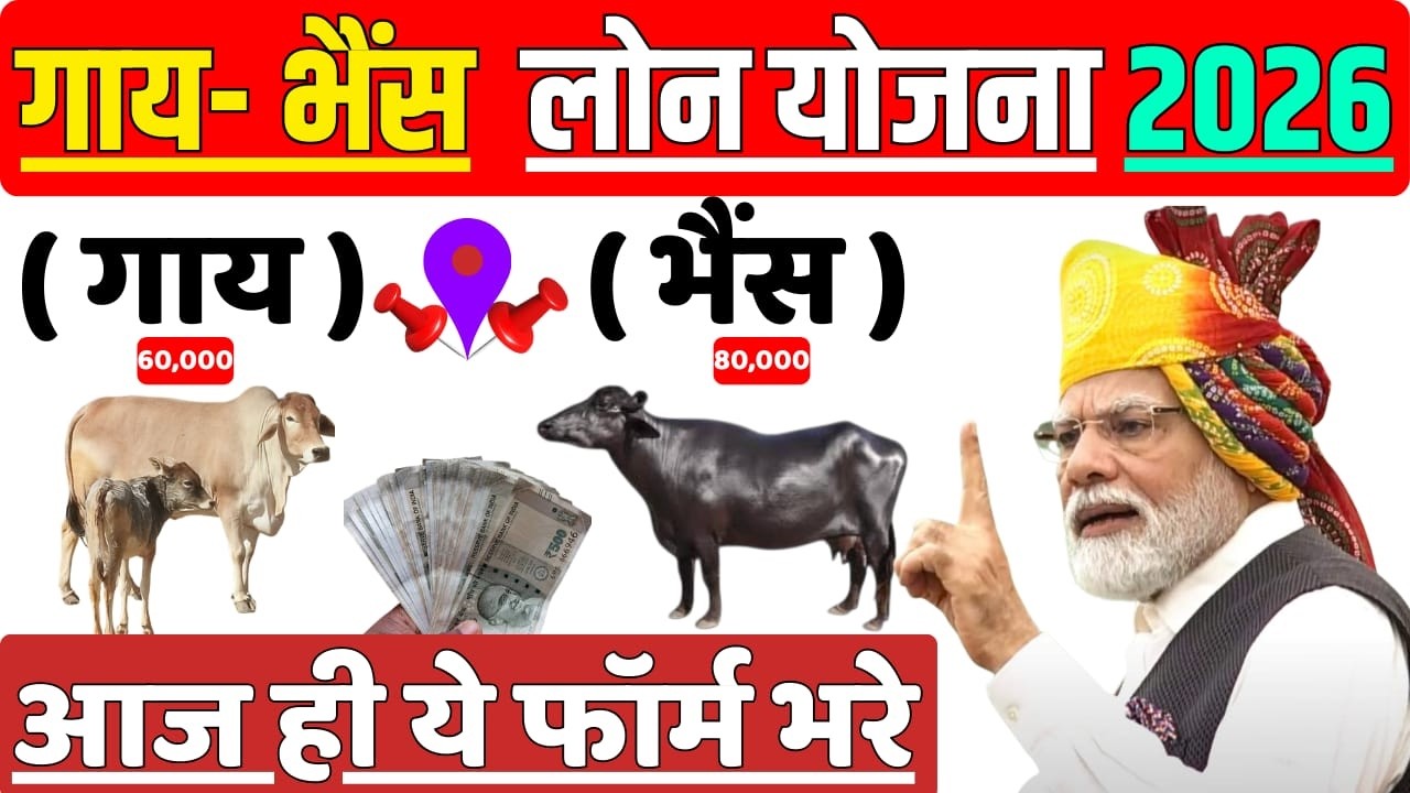 पशुपालन लोन योजना 2026 | गाय भैंस लोन कैसे लें | Pashupalan Loan Kaise Le | Pashu Loan Kaise Milega