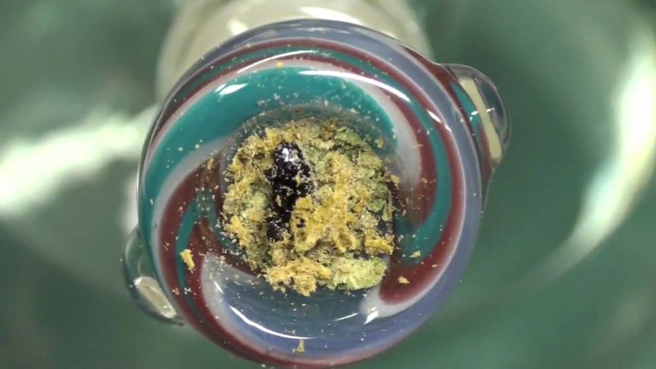 Jack Herrer + QWISO Hash Oil, New Tini HD Bong Rips nuccca