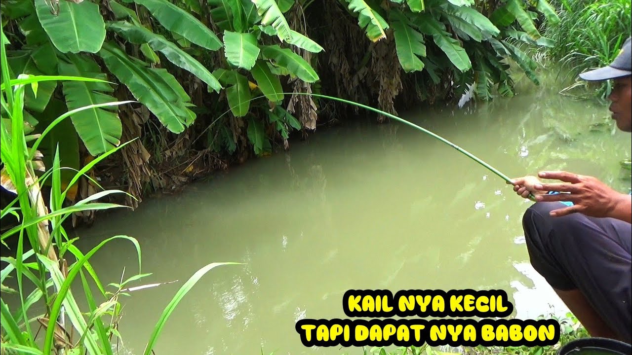 Dibawah jalan ini,Ada sungai yang masih banyak ikan nya 