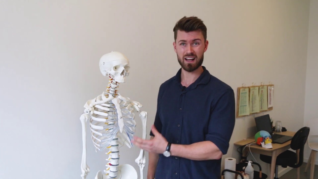 Mavesmerter - Forstoppelse - Mave - Tarmsystemet - Fordøjelse - Aarhus Osteopati og Fysioterapi