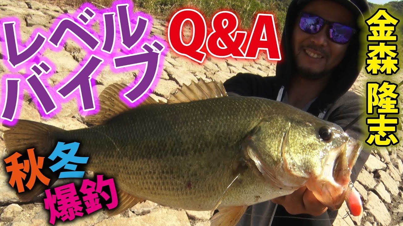 これで冬を乗り切れ!!バイブレーションのすべて!!【金森隆志】