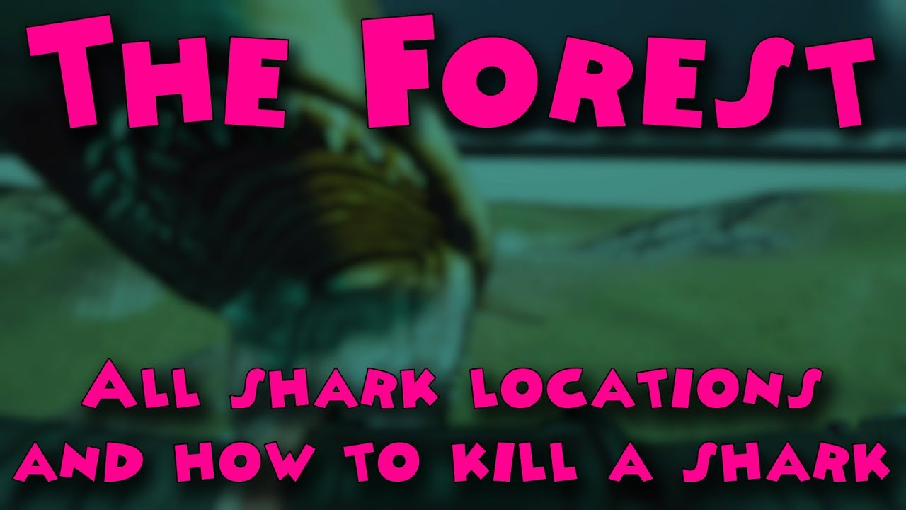 The Forest - All shark locations and how to kill a shark